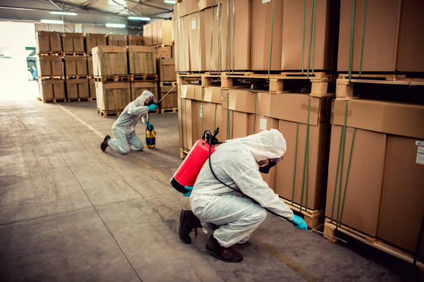 Best Best Pest Control Companies  in Tunica Resorts, MS