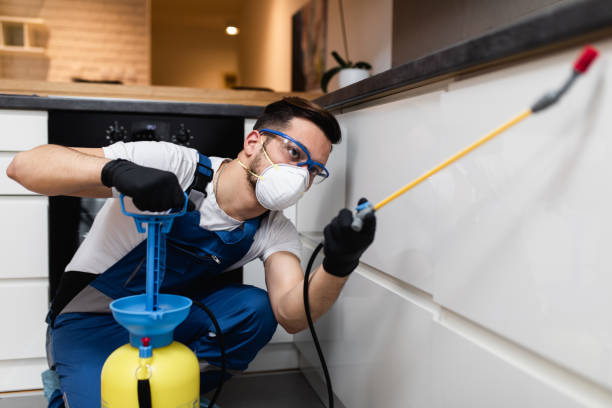Pest Prevention Services in Tunica Resorts, MS