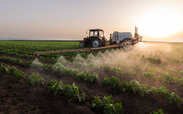Best Pest Prevention Services  in Tunica Resorts, MS