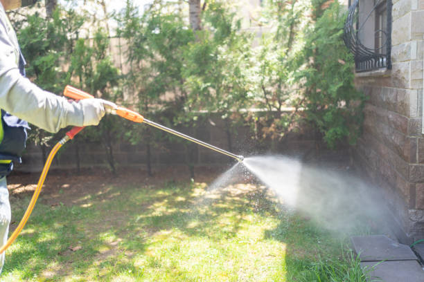 Best Pest Removal Services  in Tunica Resorts, MS