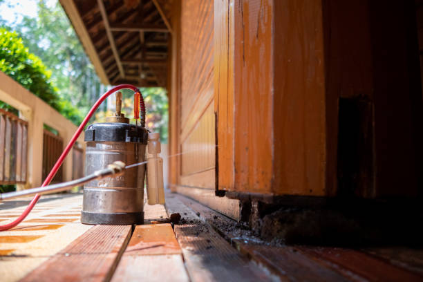 Best Best Pest Control Companies  in Tunica Resorts, MS