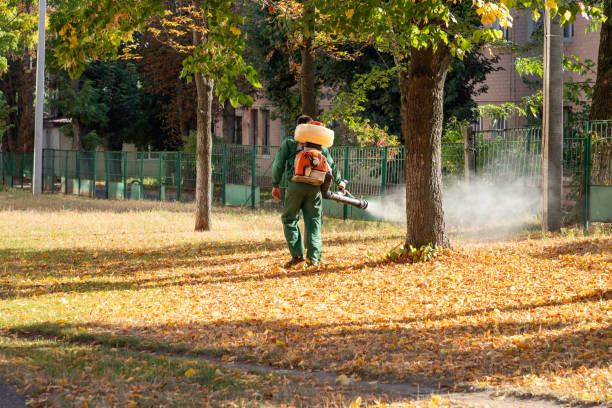 Tunica Resorts, MS Pest Control Company