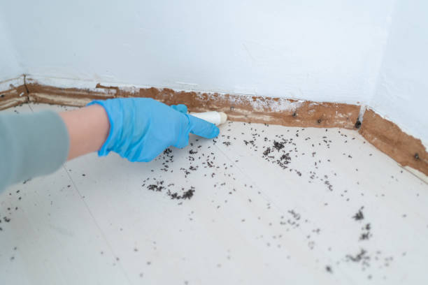 Best Affordable Pest Control Services  in Tunica Resorts, MS