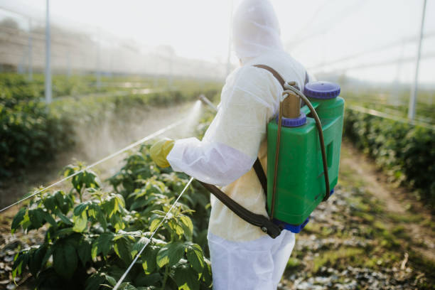 Best Pest Removal Services  in Tunica Resorts, MS